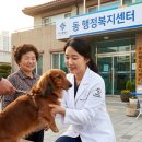 21세기종합동물병원 | [부산] 우리 강아지 건강지키기! 광견병 예방접종 기간/장소 총정리