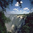 러브카페 이미지