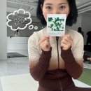 하나어패럴 | 2025 잇존어패럴 웰니스 클래스 후기 잇존 사랑해요