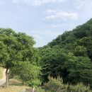 별빛마을민박 이미지