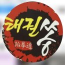 용인대태권쏭 태권도장 이미지