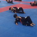 용인대블랙벨트센터 이미지