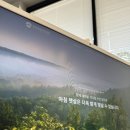 의료자산관리컨설턴트(주) 이미지