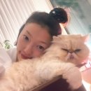 신형사 | 살인마 엄마와 형사 아들, 공조인가 파멸인가… ‘사마귀: 살인자의 외출’ 3회 관전포인트