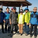 낙지마을 이미지