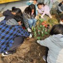 조도초등학교 이미지