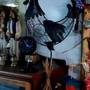 콩공인중개사사무소 이미지