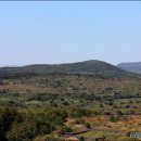 난산리-1 이미지