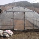 묘하우스 이미지