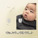 역삼가애어린이집 | 만 6개월 육아일기: 첫 니, 이유식, 시간제보육 그리고 우량아..
