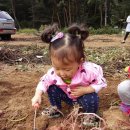 칠보농장 이미지