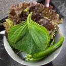 세븐일레븐 안산초지로점 | [안산 초지동 맛집] ‘흑향 초지점’ 흑돼지 오겹살 맛집 솔직 후기