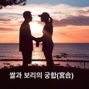 쌀과보리 이미지