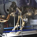 맘모스 - 남구 신복로22번길 20 | 맘모스