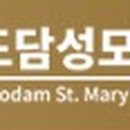 도담성모정형외과의원 이미지