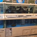 백두산수산물 이미지