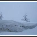 삼영목장 이미지