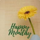 디오크(The oak) 이미지