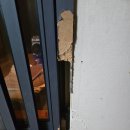 멍이냥이하우스 이미지