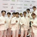 베스트초이스 스포츠경향
