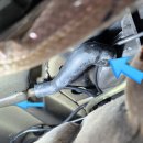 타이어마스타 마포점 | BMW E38 740i 입양기 - 2부