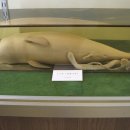 (주)마린파크 이미지