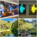 비움은 채움의 시작 展 | MMCA 해외명작:수련과 샹들리에展 &amp; 서울대공원 산림욕장길
