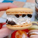 지행온누리약국 | 마카롱추천 / 귀엽지롱 / cutecaron