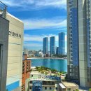 암남공원로 이미지