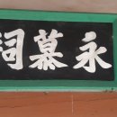 완도18호 이미지