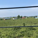 나우목장 이미지