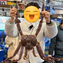 우리상회 | 노량진수산시장 킹크랩, 대게 60만원치 먹은 후기 [내돈내산] [우리상회, 노량진 전라도 식당]