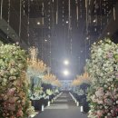 이비스앰배서더수원 | [결혼준비#1.] 호텔 앙코르 이비스 앰배서더 수원 계약 후기