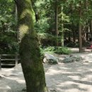 대신공원 민속예술관 옆 이미지