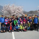 예산-04 이미지