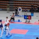 나라태권도체육관 이미지