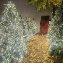 제이트리 이미지