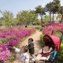 베이비캐슬어린이집 이미지