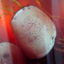 삼주농장 이미지