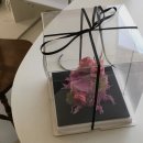 대동안마자압원 | 웨딩촬영 | 청주 '아이브 하우스' 리모델링 후 촬영후기🫶🏻(손수 도아, 지희, 율아 원장님/ 솔드플로르)