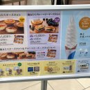 아이스크림있어요 | 삿포로 신치토세 공항 맛집 아이스크림 키노토야 위치 가격 후기 +치즈타르트