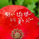 감성글씨 캘리그라피(야간) 이미지