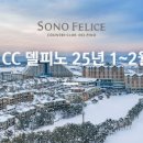 소노펠리체 컨트리클럽 비발디파크 이미지