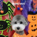 MUNG MOO 이미지