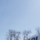 소망건강원 이미지