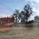 대춘목장 이미지