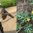 디오컴퍼니 이미지