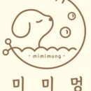 제이 애견 미용 이미지