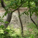 상명중화요리 | 세검정-백석동천(백사실)-홍지문-북한산자락길-장미공원(탐방후기)-북한산앵무새
