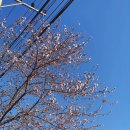 경안천로256번길 이미지